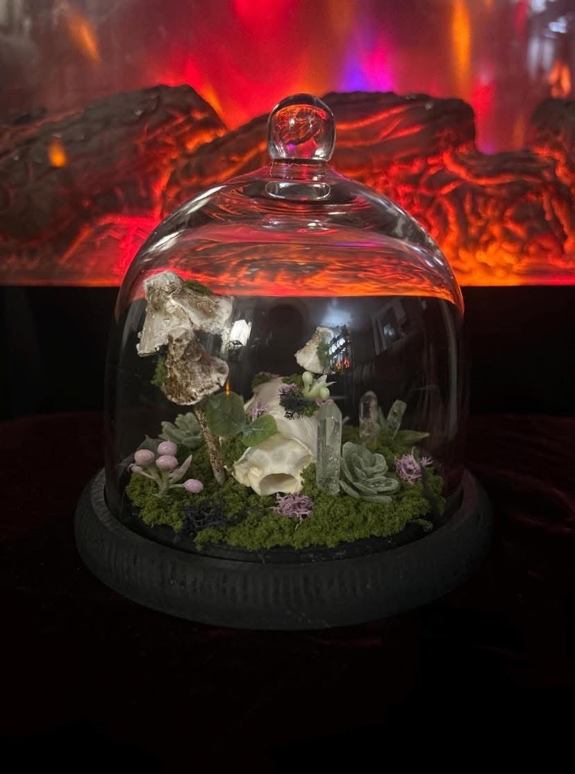 Handmade Minx Skull Terrarium!!!