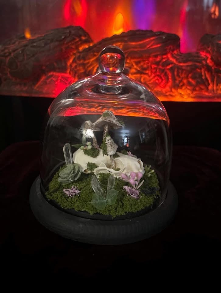 Handmade Minx Skull Terrarium!!!