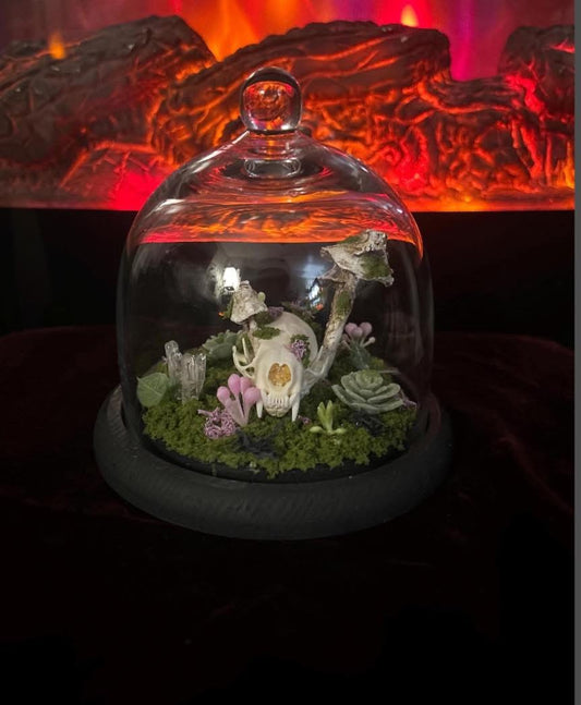 Handmade Minx Skull Terrarium!!!
