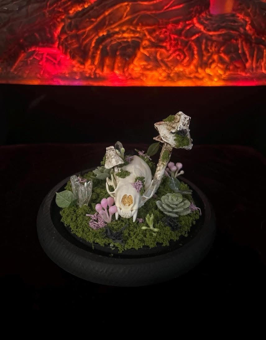 Handmade Minx Skull Terrarium!!!